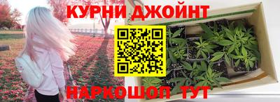 крисы Кандалакша