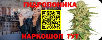 крисы Кандалакша
