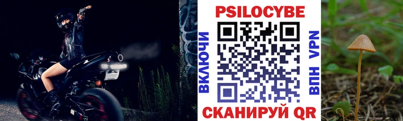 Псилоцибиновые грибы прущие грибы  Лениногорск 