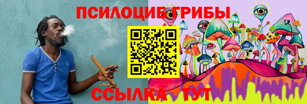 Лениногорск  хочу наркоту  Вход с VPN  Галлюциногенные грибы Psilocybine cubensis 