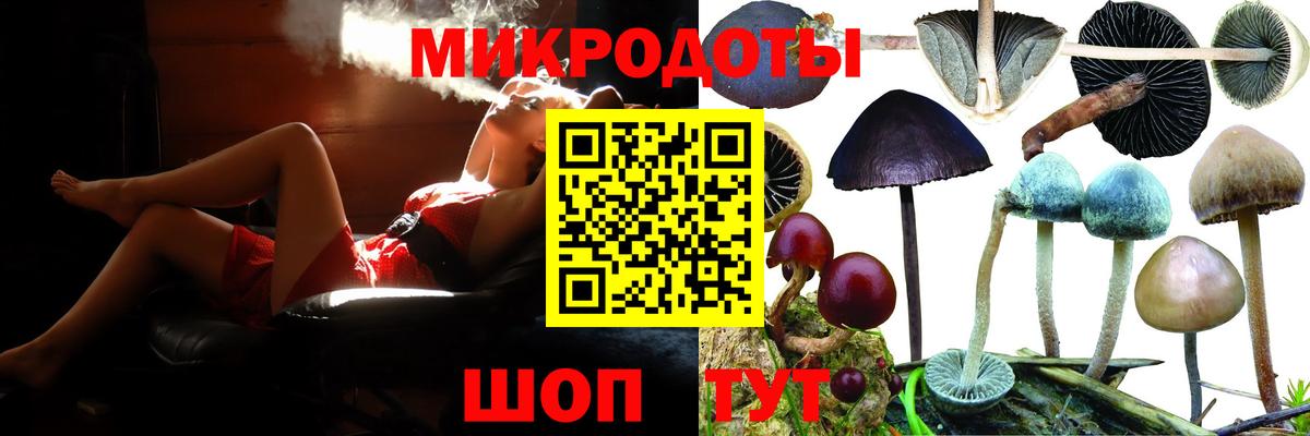 Псилоцибиновые грибы мицелий Лениногорск
