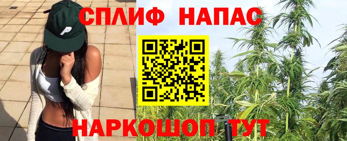 Шишки марихуана планчик  Конопля SATIVA & INDICA  Вход с VPN  МАРИХУАНА White Widow  Лениногорск 